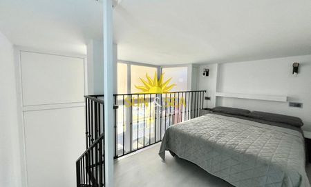 1 BEDROOM HOLIDAY APARTMENT - TORREVIEJA - Photo 5
