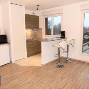 Location Appartement 1 pièce 27m² NEUVILLE EN FERRAIN 59960 - Photo 3
