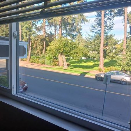 1-Bedroom with park views in Aurora Manor Apartments - Photo 3