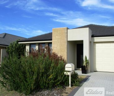 WHAT A BEAUTY! - Photo 6