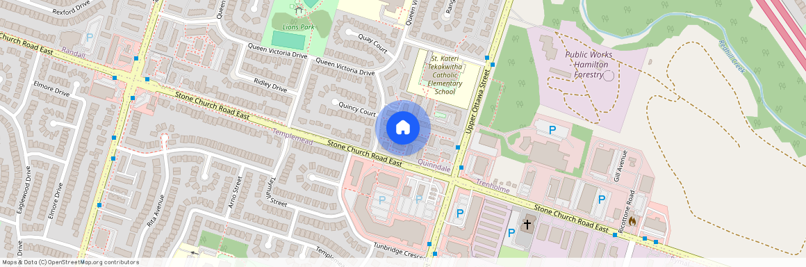 33 Rochelle Ave, Hamilton