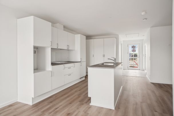 Nyt 3 værelses rækkehus i Eltang, Kolding - Photo 1
