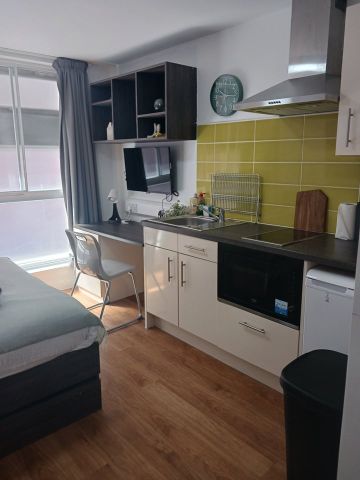 Studio Flat, Stanley Street, L1 - Photo 5