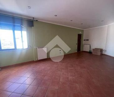 Trilocale in affitto - Photo 1
