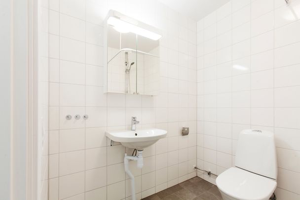 Sofielundsvägen 6, Möllevången - Foto 1