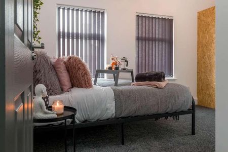 Holmes Street, L8 - Photo 5