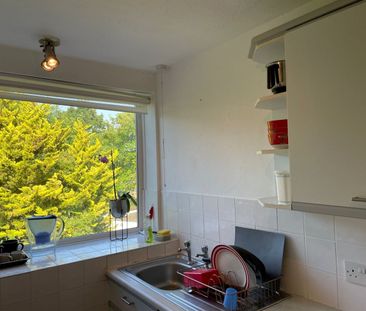 Room in a Shared House, Richmond Court, LU2 - Photo 6