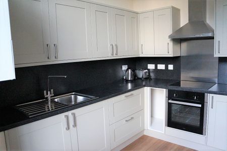 Stunning One Double Bedroom Flat to Let in Edinburgh - Photo 4