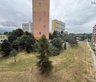 Pronájem bytu 1+1 38 m2 - Photo 3