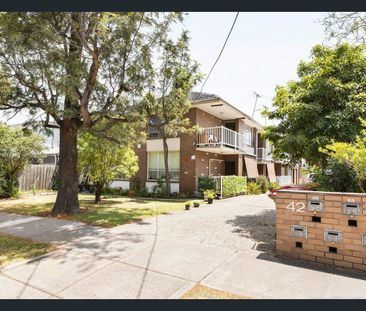 Spacious, Light Filled & Perfectly Positioned - Photo 4