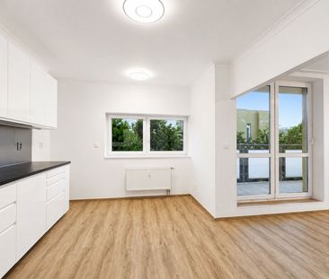 Pronájem bytu 3+1 • 100 m² bez realitkyK Haltýři, Praha - Troja - Photo 4