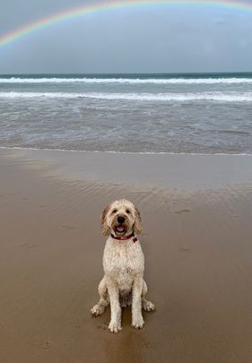 Cheltenham - Photo 1