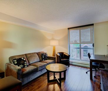 341 MacLaren Street, Centretown, Ottawa, ON - Photo 3