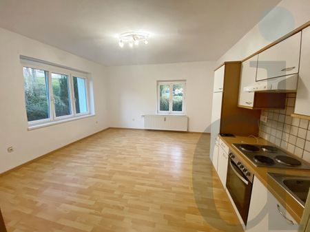 Helle 42m² große Wohnung südlich von Wolfsberg zu vermieten! - Foto 2