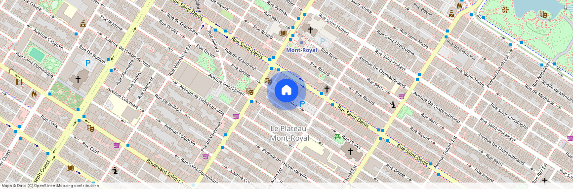 4419 Rue Drolet, Montréal (Le Plateau-Mont-Royal), H2W2L9