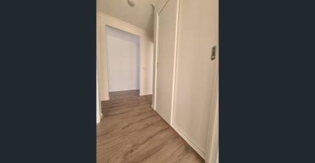 Brand New Luxury Living - Photo 4