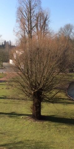 Demnächst frei! 2-Zimmer-Wohnung in Mönchengladbach Odenkirchen - Photo 1