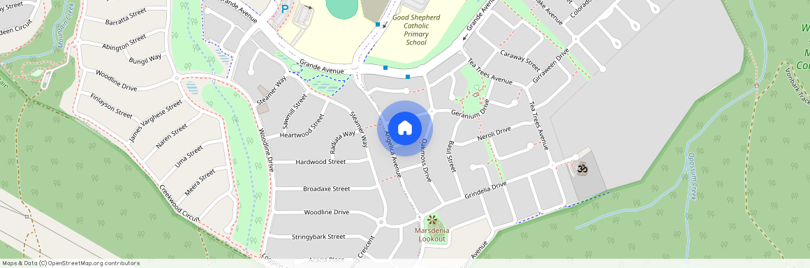 4 Pine Court, Qld 4300, Springfield Lakes