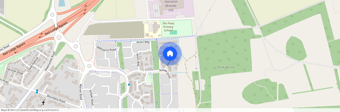 Bilberry Close, BURY ST EDMUNDS