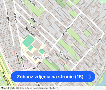 Wilamów Powsinek zadbany – zdjęcie 1