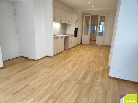 location Appartement 7 pièces à Colmar - REF 1447-IB - Photo 4