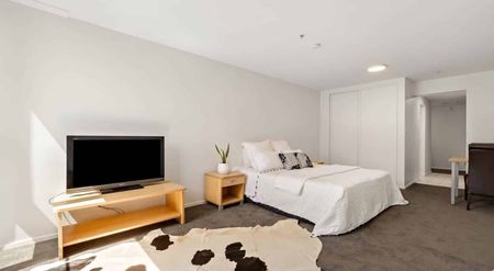 Newly Renovated Furnished Studio Apartment at ... - Photo 3