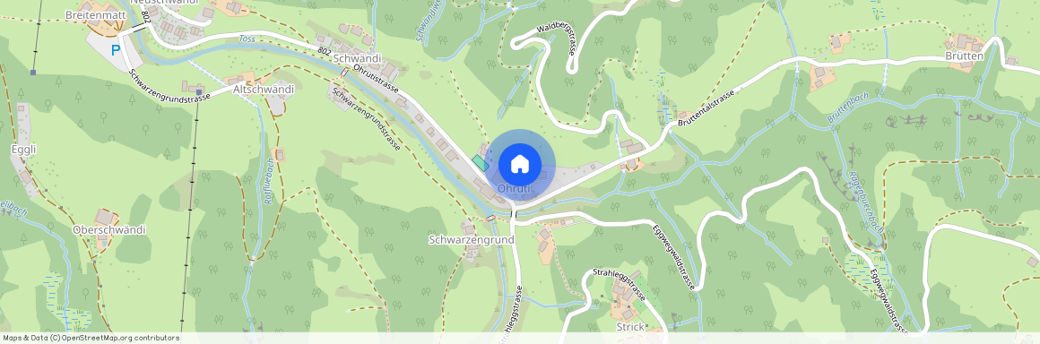 8496, Steg im Tösstal, Ohrütistrasse, 167