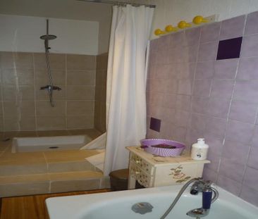 Location Appartement 2 pièces 45m² ST ANDRE DE SANGONIS 34725 - Photo 4