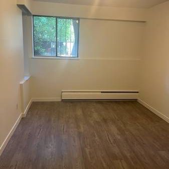 1bd - PET FRIENDLY Close to UBC Kitsilano Beach - Photo 4