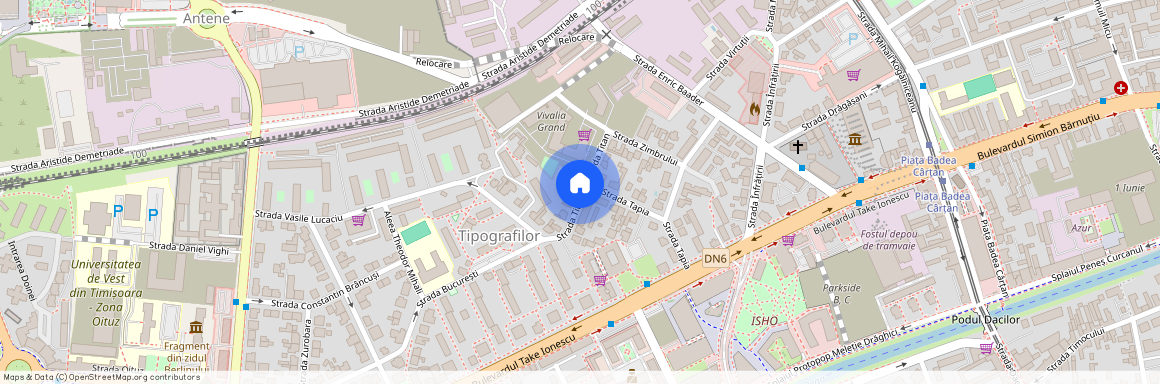 Timis, Timisoara