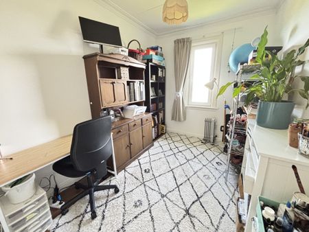 A beauty on Bridger Street - Photo 4