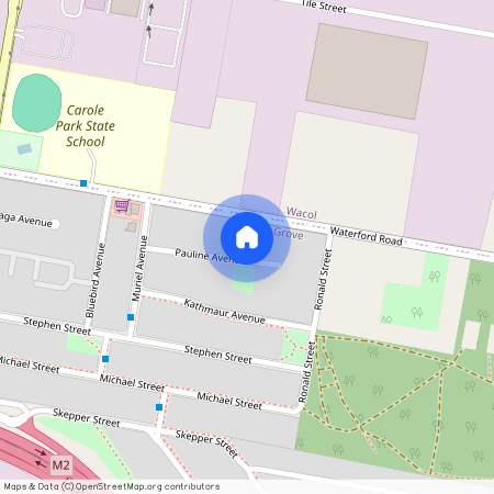 19 Pauline Avenue, Qld 4078, Ellen Grove