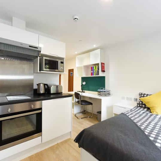 Studio Bronze - Photo 1