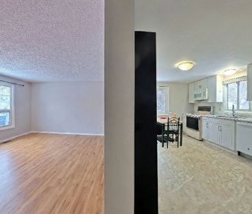 For Lease - 30A Amos Avenue, Waterloo, Ontario - Photo 6