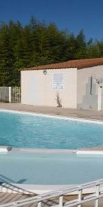 2 PIECES AVEC JARDIN ET PISCINE - Photo 4