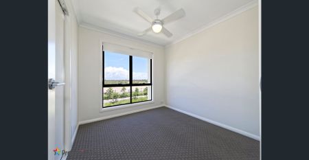 MODERN LIVING - Mango Hill - Photo 4