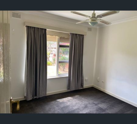 2 Wensleydale Avenue, Hectorville, SA 5073 - Photo 3
