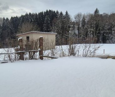 2.5 Zimmer, Untergeschoss - Photo 6