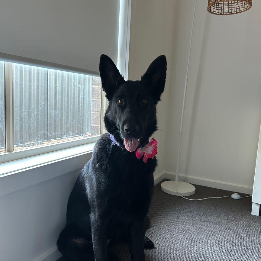 Munno Para Downs - Photo 1