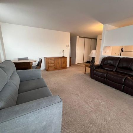 Grand condo 3 1/2 Meublé et équipé - Photo 3