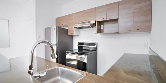 1 Bedroom Loft - 1902 Rue Centre, Montréal - Photo 3