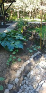 5 1/2 foyer tout inclus (wifi et hydro) terrain bordé d'un étang - Photo 4