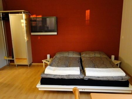 APPARTEMENT 1 PIÈCE À OBERGÖSGEN (DIM), MEUBLÉ - Photo 2