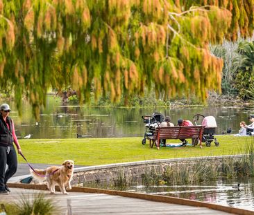 SPACIOUS LIGHT FILLED IN BOTANIC PRECINCT - Photo 2