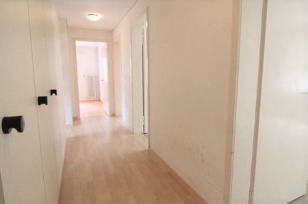 Gemütliche Wohnung in der Nähe des Rheinfalls - Photo 2