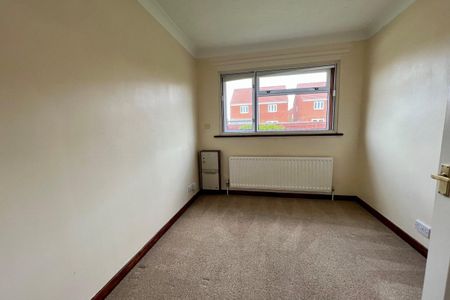 The Street - Photo 4