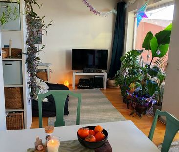 Stiftsvägen, Lund - Photo 1