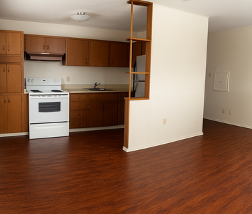 1 BED/1 BATH - 602 HOPKINS ST - Available DEC 15TH *December Rent S... - Photo 3