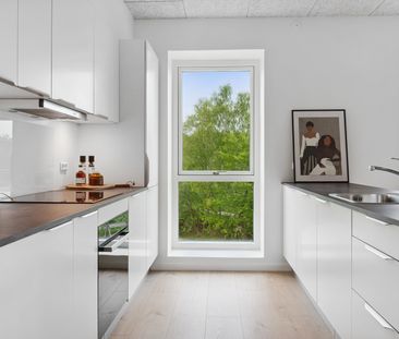 Stor 3 vær med terrasse - Foto 4