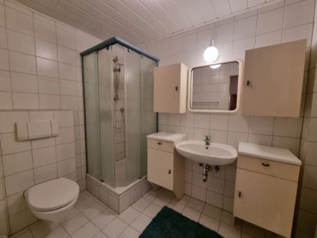 Schönes komplett möbliertes 1-Zimmer-Appartement - Foto 2